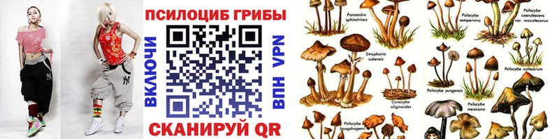 Псилоцибиновые грибы Magic Shrooms  MEGA ССЫЛКА  Якутск  где купить наркоту 